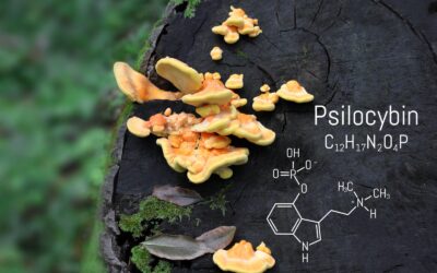 ¿Quieres contribuir a la ciencia con tu experiencia en el uso de psilocibina (hongos alucinógenos)?